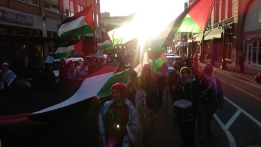 Dozens of protesters march for Palestine in Victoria.
